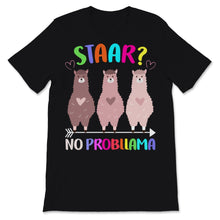 Load image into Gallery viewer, STAAR Texas State No Probllama test day Cute Graphic Llama Colorful
