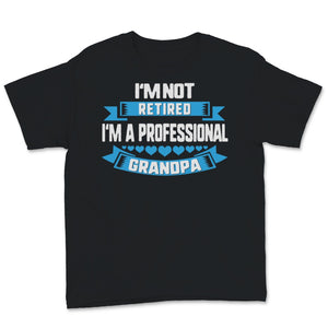 I'm Not Retired A Professional Grandpa Dad Father Day Gift for Papa