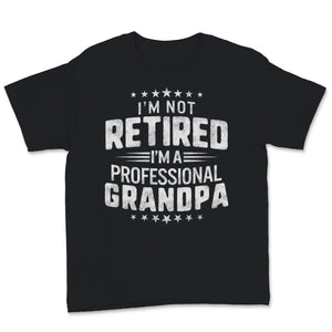 I'm Not Retired A Professional Grandpa Father Day Retro Gift for Papa