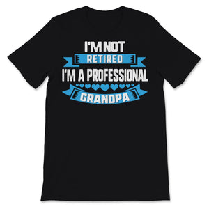 I'm Not Retired A Professional Grandpa Dad Father Day Gift for Papa