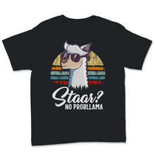 Load image into Gallery viewer, STAAR Texas State No Probllama Test Day Vintage Cute Graphic Llama
