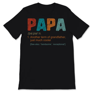 Papa Definition Grandfather Much Cooler Vintage Father's Day Gift For
